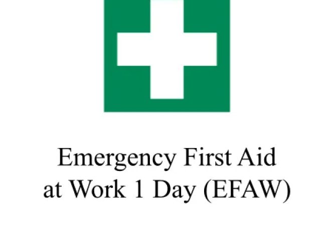 Emergency First Aid at Work Course (EFAW)